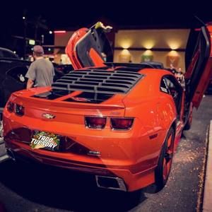 Meet your Posher, Brady